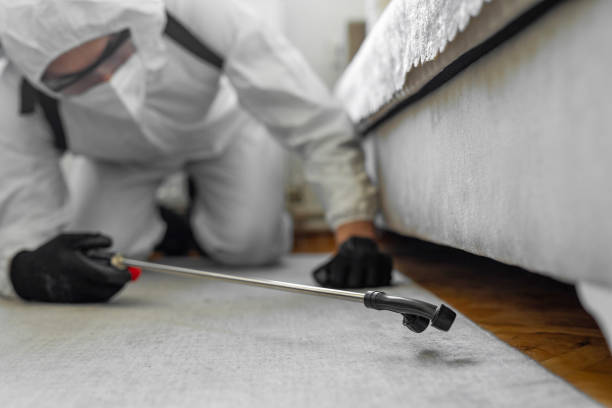 Professional Termite Control technician working in Cosmopolis, WA